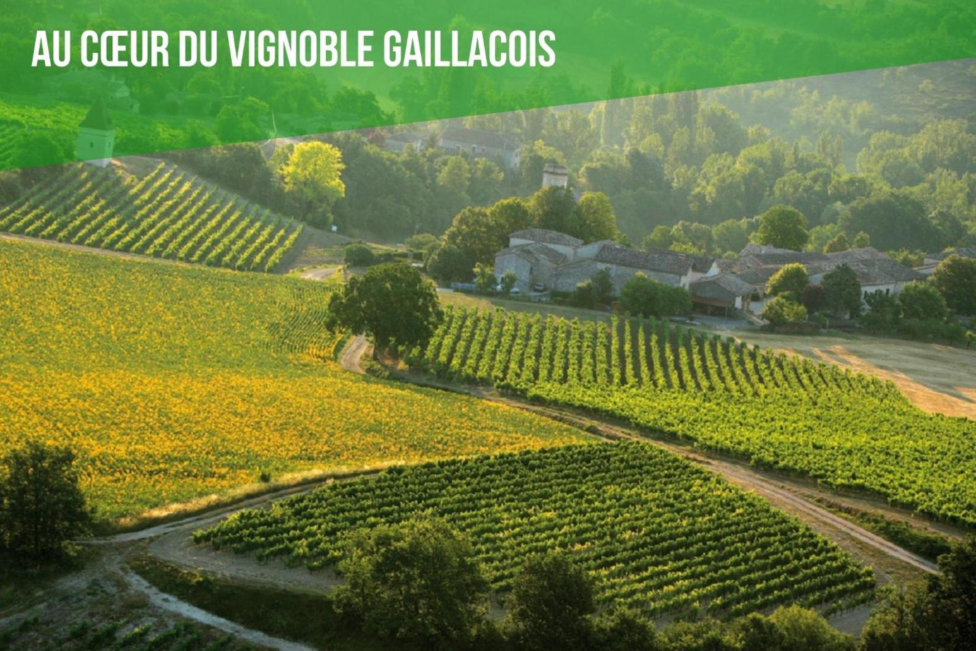 Le Cottage Nature Vigne Rouge Sauna Gaillac Entre Albi-Toulouse & Les Cottages Du Tarn Brens  Екстериор снимка