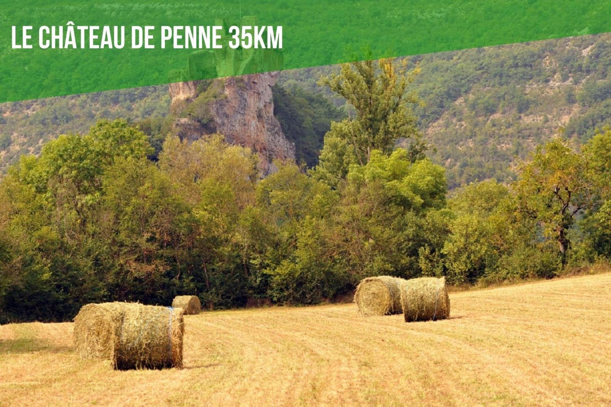 Le Cottage Nature Vigne Rouge Sauna Gaillac Entre Albi-Toulouse & Les Cottages Du Tarn Brens  Екстериор снимка