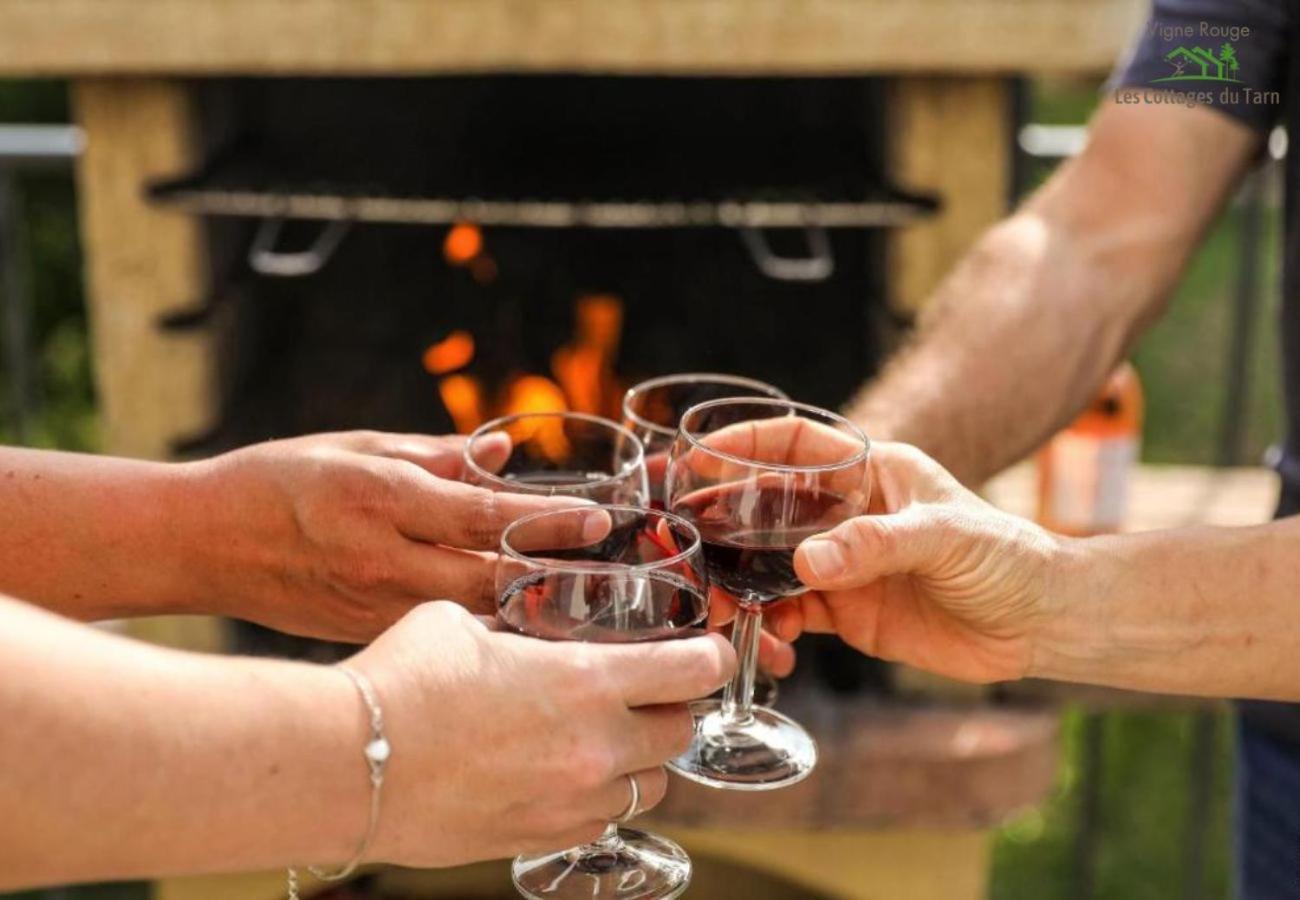 Le Cottage Nature Vigne Rouge Sauna Gaillac Entre Albi-Toulouse & Les Cottages Du Tarn Brens  Екстериор снимка